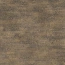 300542 ANTHOZOA GOLD